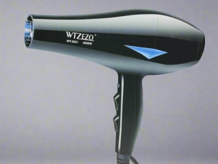 WTZEZO Smart Air Design Cool & Warm Hair Dryer WT-2021 Fashion