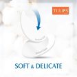 Tulips Round Facial Cotton Pads - 50Pcs Online Sale