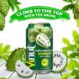 Vinut Soursop Juice Drink - 330ml Hot on Sale